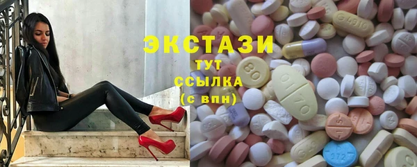 ECSTASY Богородицк